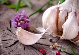 سیر را در یخچال نگذارید؛ قانون طلایی نگهداری سیر