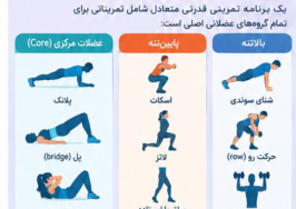 اصول تمرینات قدرتی: چطور به طور ایمن عضله بسازیم؟
