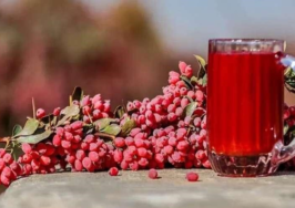 دانه کوچک و ترش اما «ابرغذا»؛ زرشک چه فوایدی برای بدن دارد؟
