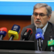 جعفریان: هند ظرفیت مهمی برای همکاری دارویی با ایران دارد